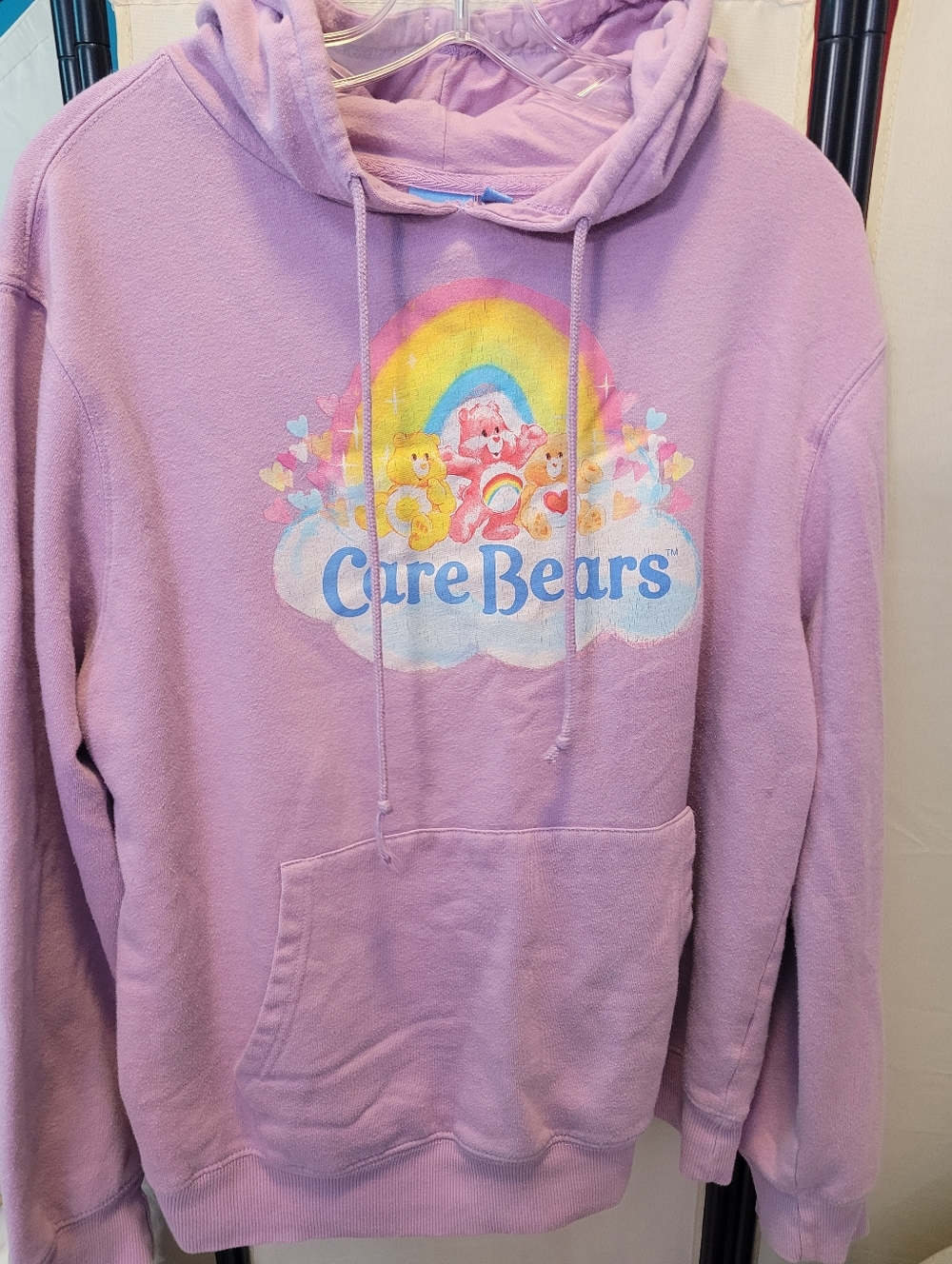 Care Bears Lavender Graphic Hoodie